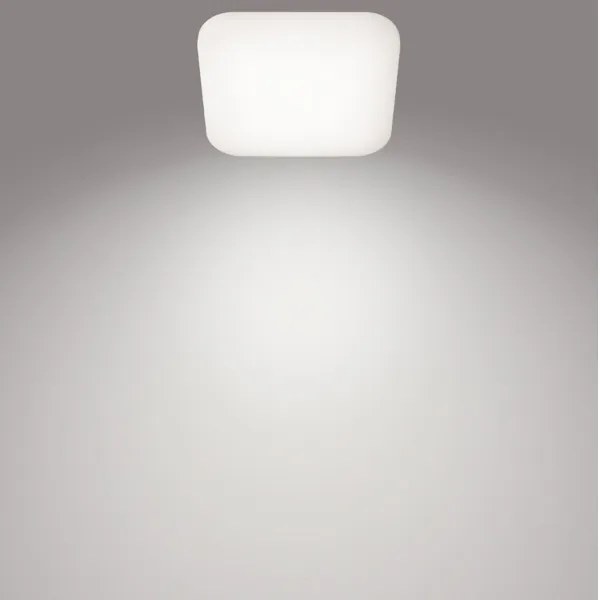 Plafonieră LED MAUVE LED/12W/230V 4000K Philips