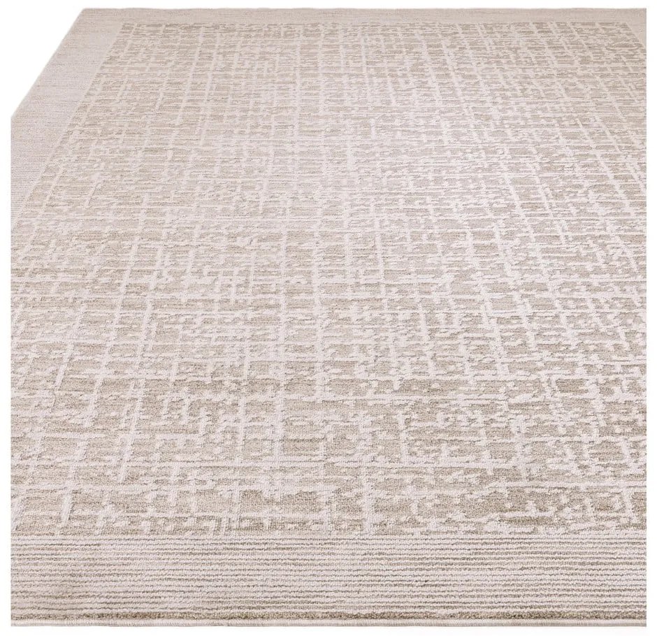 Covor crem 200x300 cm Anders Beige Natural – Asiatic Carpets