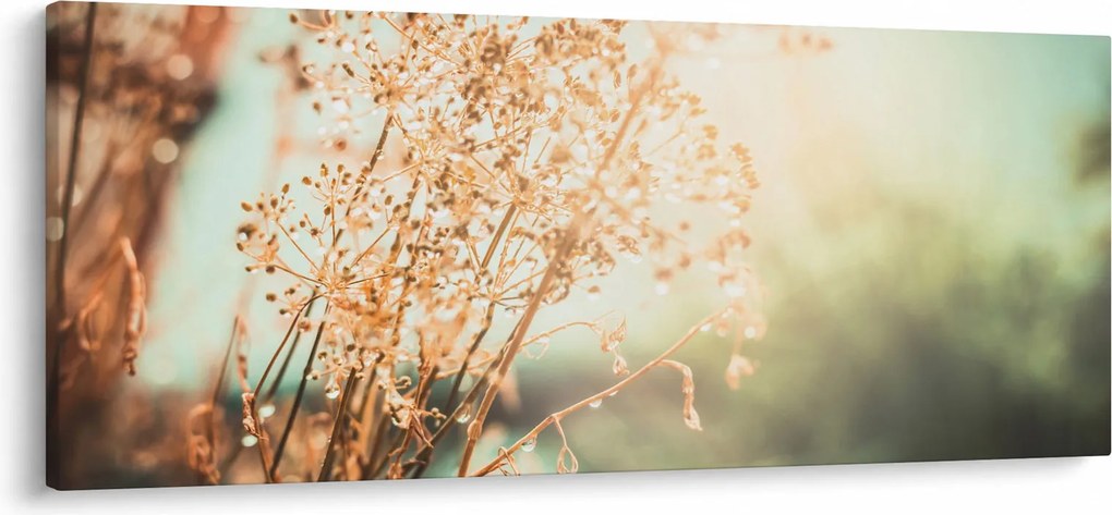 Tablou - Plante de luncă (120x50 cm)