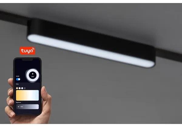 Plafonieră LED dimabilă pentru sistem de șină monofazic Rabalux 70123 LiTrack 12W/24V 22 cm