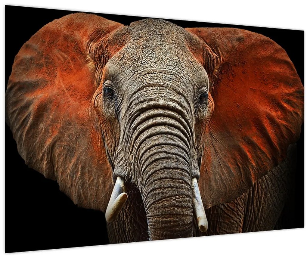 Tablou - Elefanți cu Tsavo (90x60 cm)