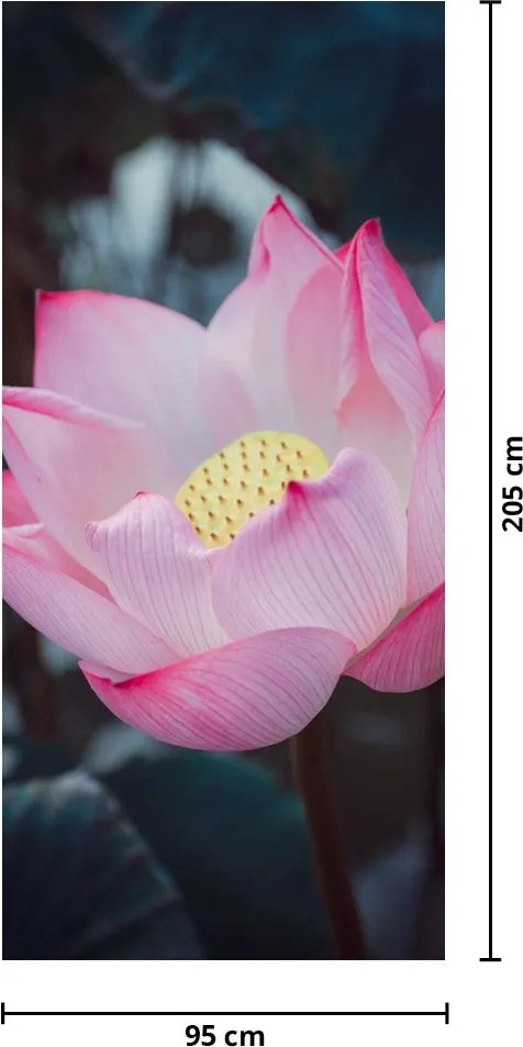 Fototapet pentru ușă - Flori roz (95x205cm)