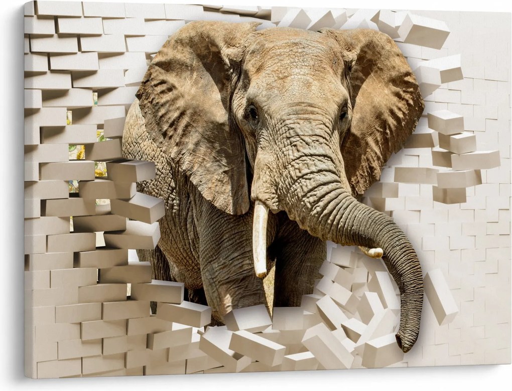 Tablou - Elefant spârgând peretele (70x50 cm)