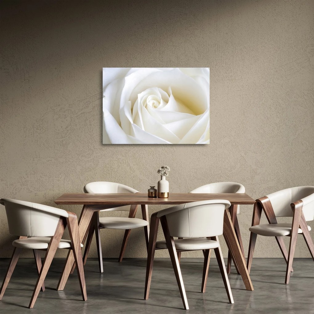 Tablou pe sticlă cu tandafir alb (70x50 cm)