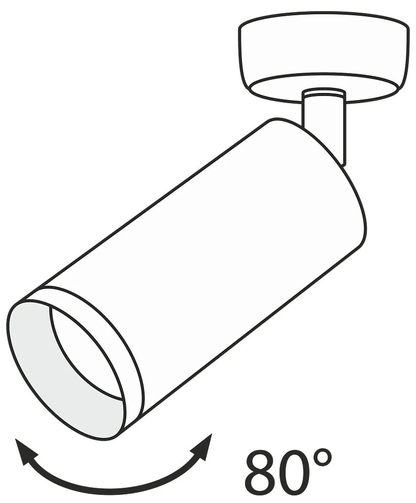 Spot directionabil aplicat de tavan/plafon Focus MYC017CW-01MG