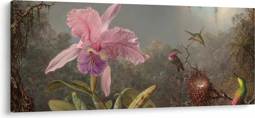 Tablou - Martin Johnson Heade, Cattleya Orchid and Three Hummingbirds, reproducere (120x50 cm)