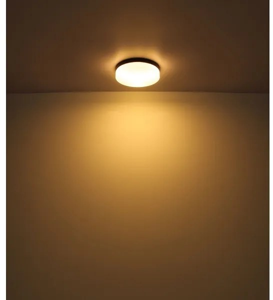 Corp de iluminat pentru baie VRANOS 3xE27/60W/230V d. 30 cm IP44 Globo 32113B