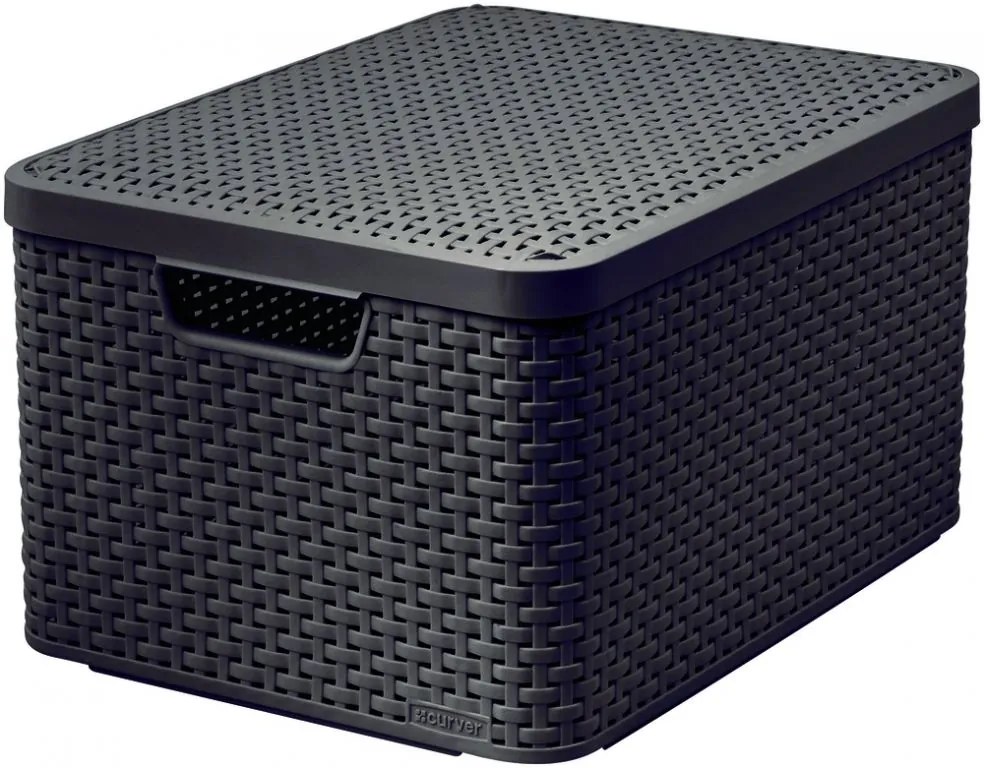 Cutie din plastic cu capac STYLE BOX maro