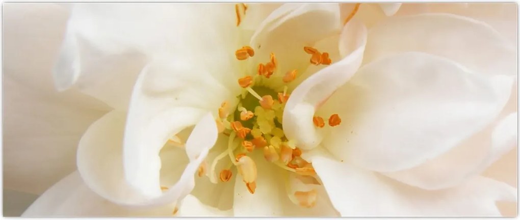 Tablou - Floare (120x50 cm)