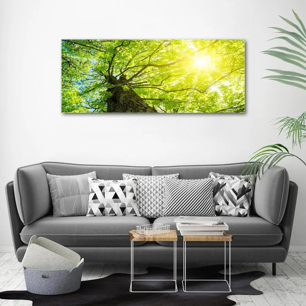 Imprimare tablou canvas Primăvară castan