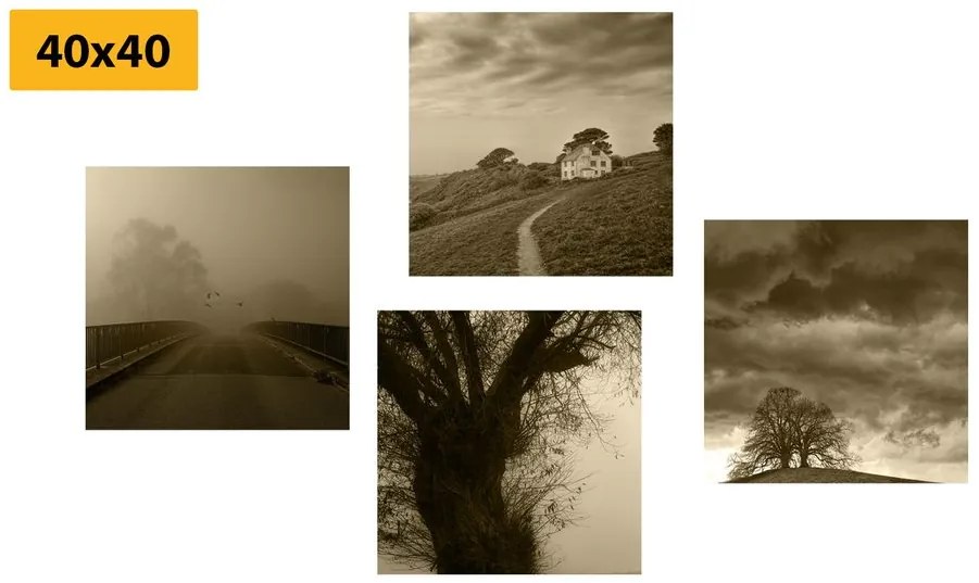 Set tablouri natura misterioasă în design sepia
