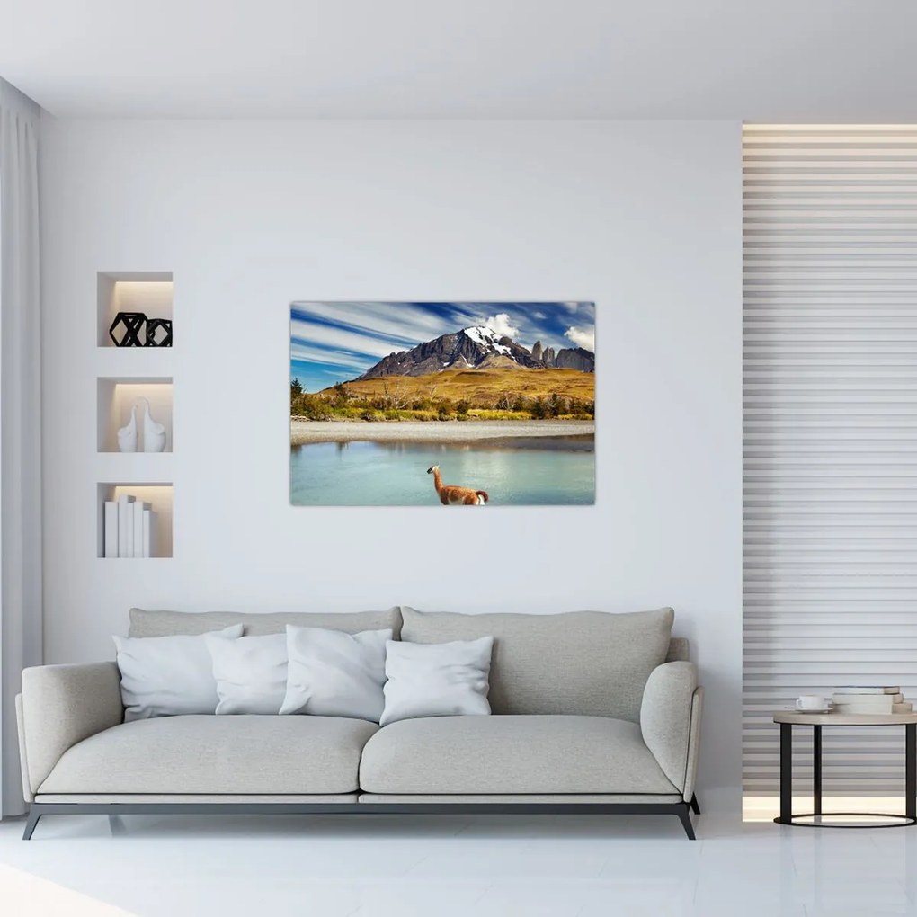Tablou - Parcul Național Torres del Paine (90x60 cm)
