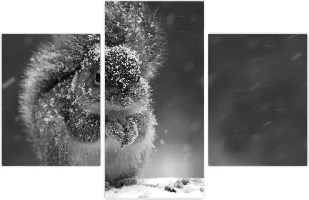 Tablou - Veveriță în timpul iernii (90x60 cm)