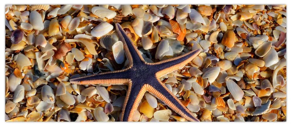 Tablou cu stea de mare (120x50 cm)