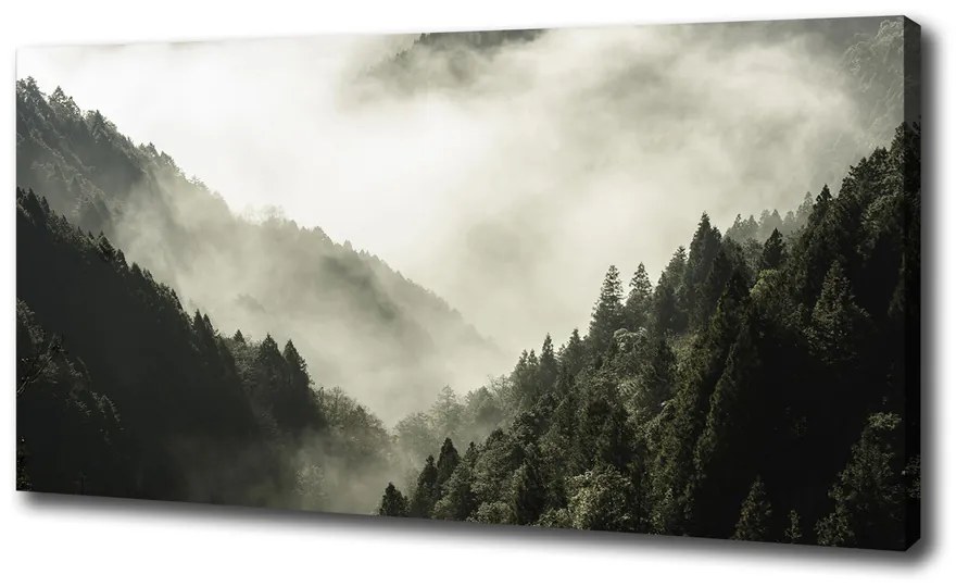 Tablou canvas Ceață peste pădure