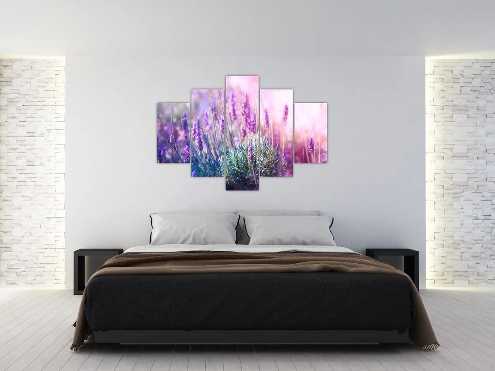Tablou - Lavandă în strălucirea soarelui (150x105 cm)