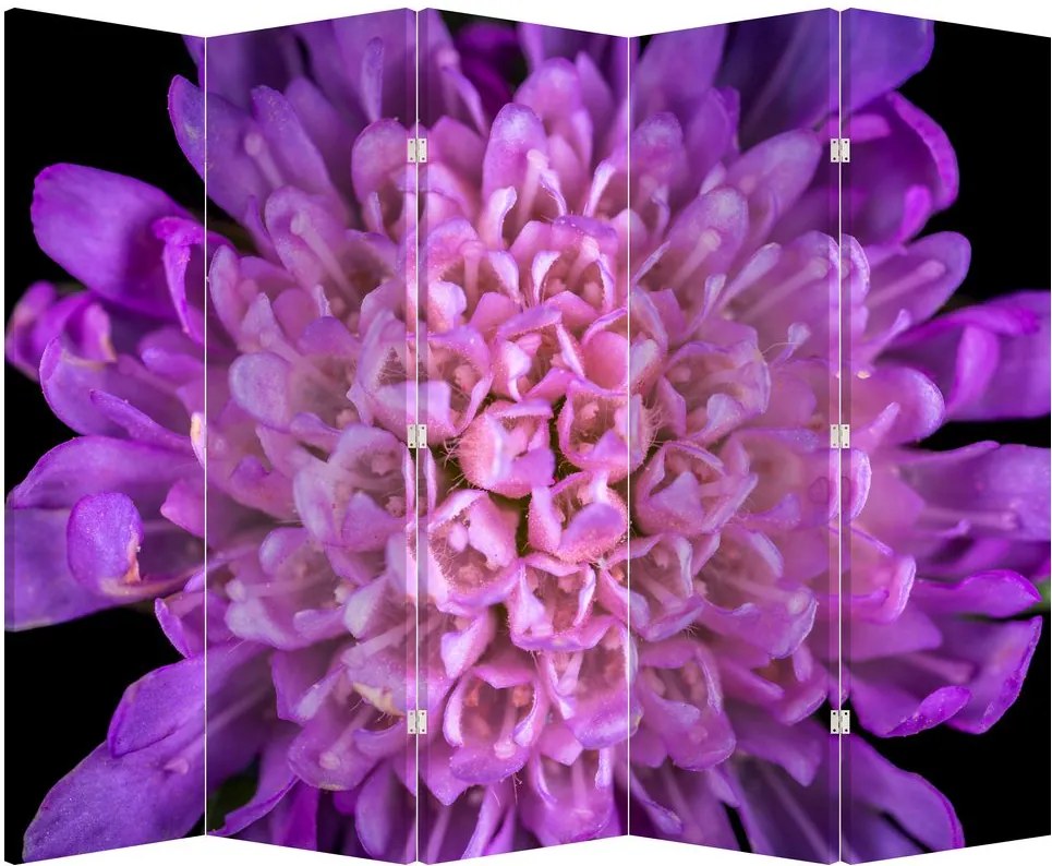 Paravan - Floare detailat (210x170 cm)