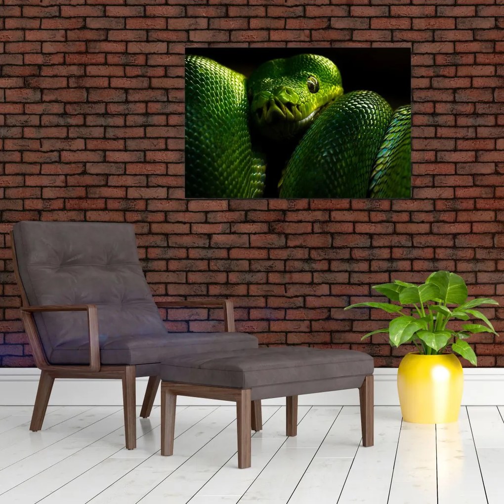 Tablou - Șarpele verde (90x60 cm)