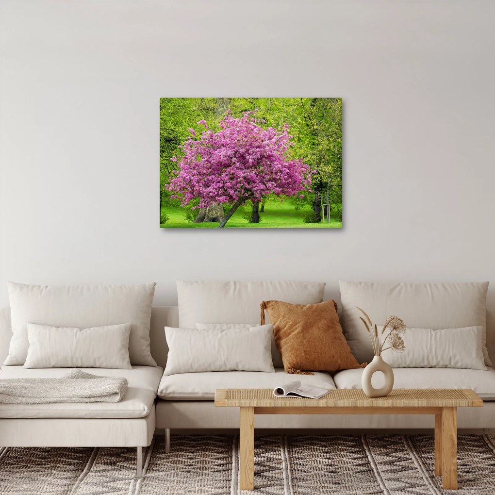 Tablou cu pom înflorit pe luncă (70x50 cm)