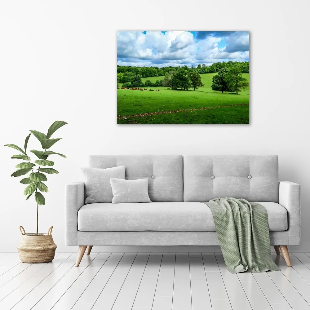 Imprimare tablou canvas Dealuri verzi