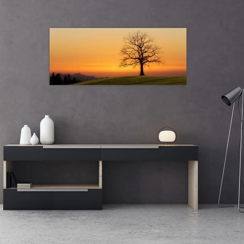 Tablou cu apus de soare pe o luncă (120x50 cm)