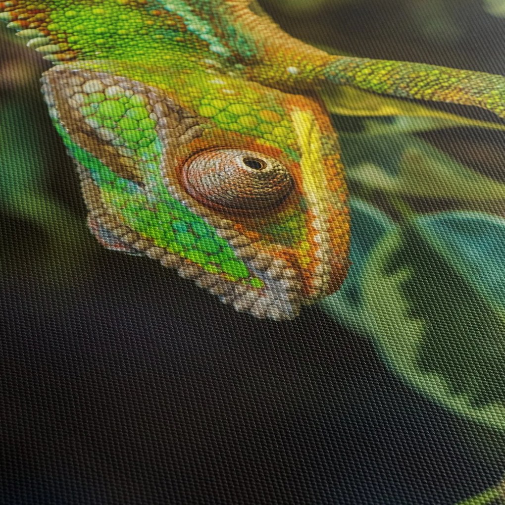 Tablou cu cameleon (cu ceas) (90x30 cm)