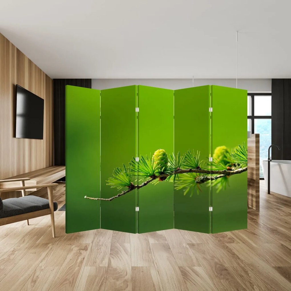 Paravan Con verde (210x170 cm)