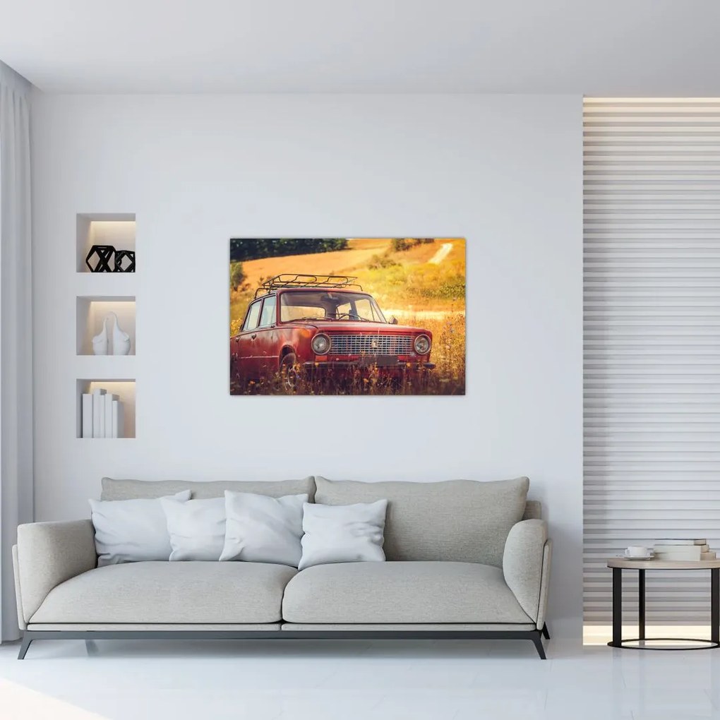 Tablou cu mașină în câmp (90x60 cm)