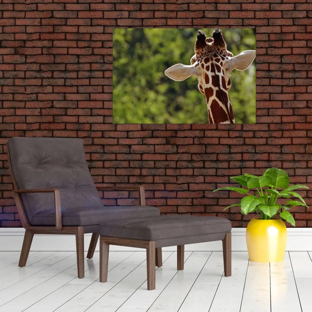 Tablou cu girafă din spate (90x60 cm)