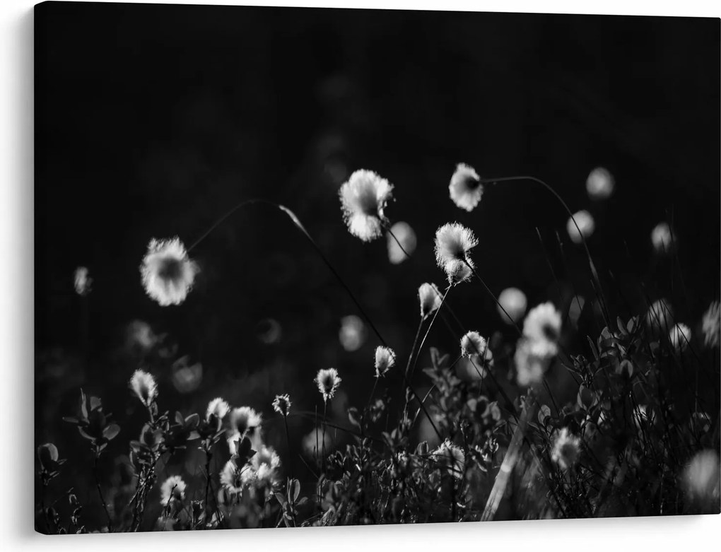 Tablou - Pajiște cu iarbă de cozonac N⁰1 (70x50 cm)