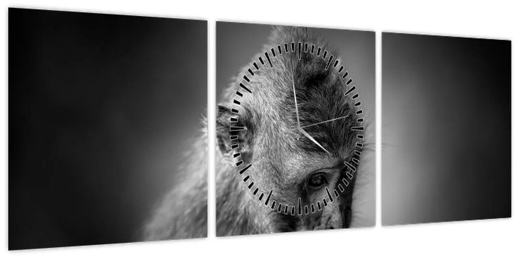 Tablou - Maimuță (cu ceas) (90x30 cm)