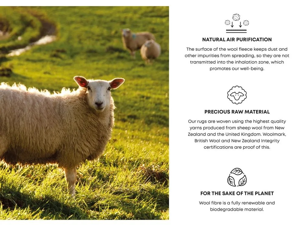 Covor în culoarea petrolului din lână 200x300 cm Areca – Agnella