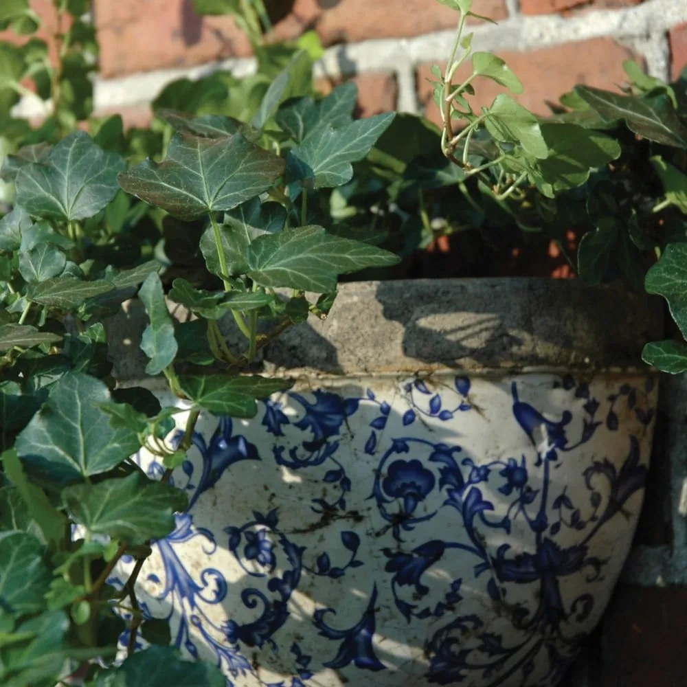 Ghiveci din ceramică de perete – Esschert Design