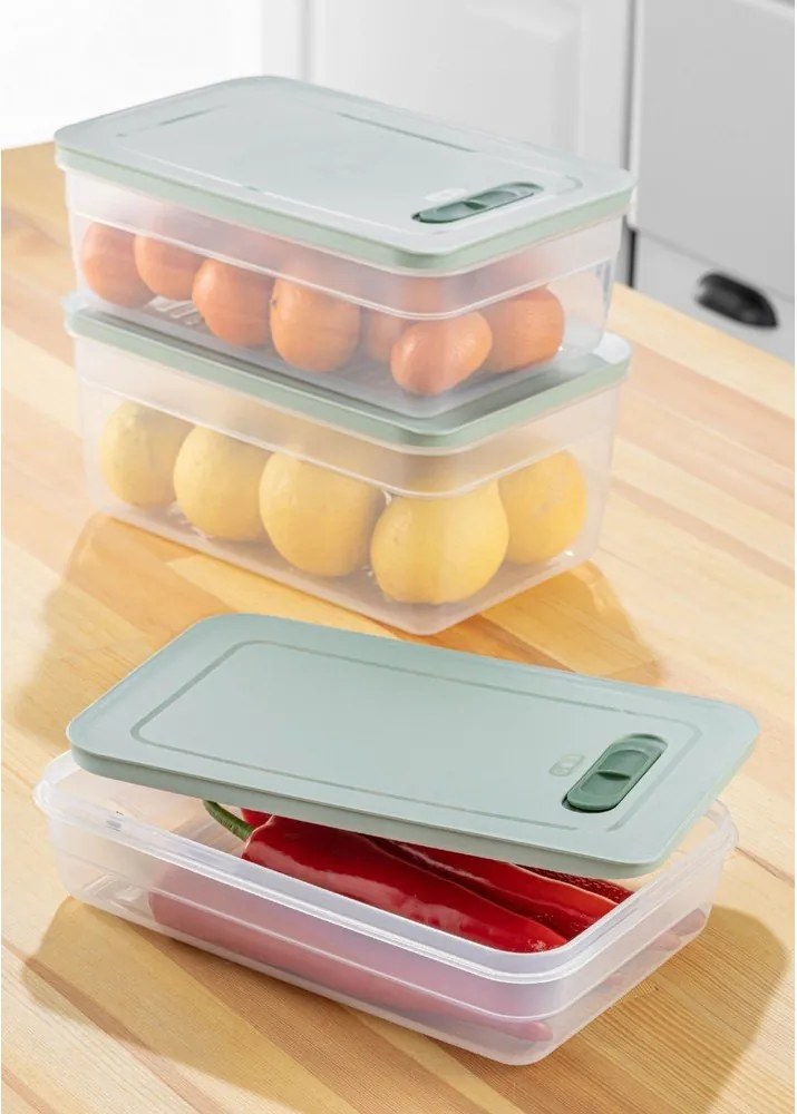 Caserole pentru alimente 3 buc. – Hermia