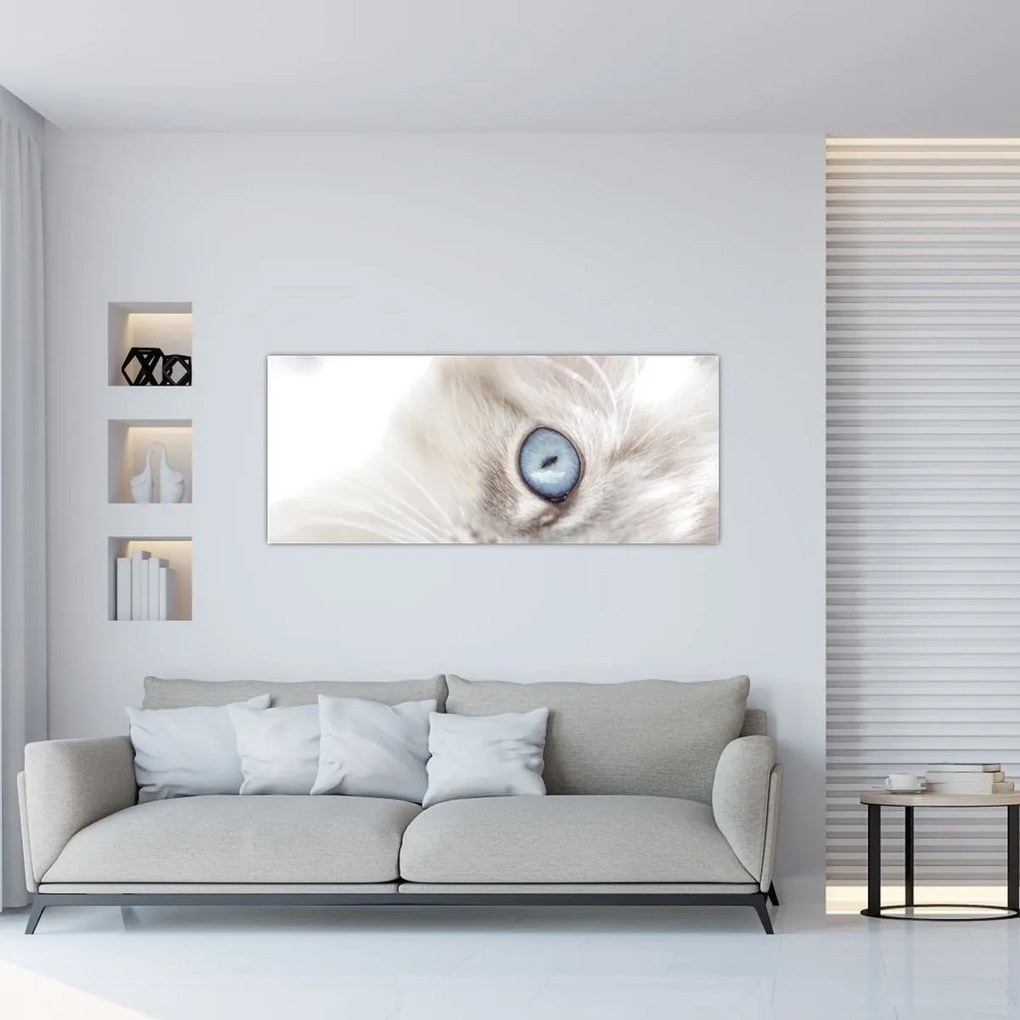 Tablou - Pisica cu ochi albaștri (120x50 cm)
