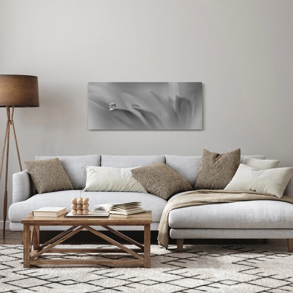 Tablou - Picătură pe floare,alb-negru (120x50 cm)