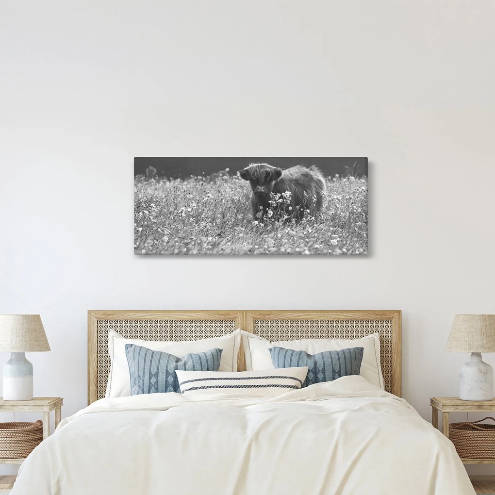 Tablou - Vacă scoțiană 5,alb-negru (120x50 cm)