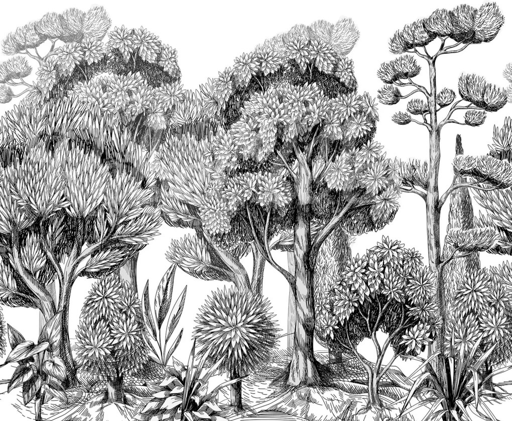 Fototapet, Forest Park, Graphite, Rebel Walls