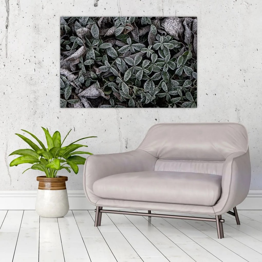 Tablou - Plante înghețate (90x60 cm)