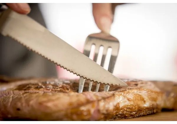 Tefal - Set de 4 cuțite pentru steak din oțel inoxidabil ICE FORCE, 11 cm, crom/negru