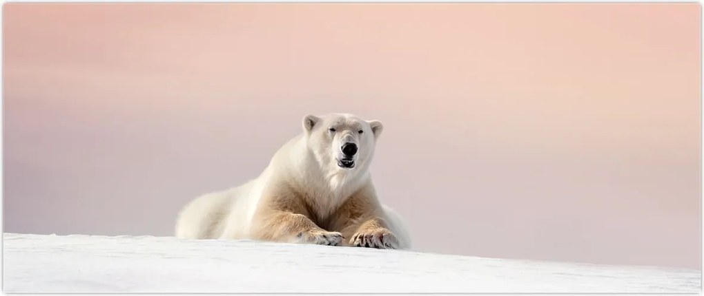 Tablou - Urs polar (120x50 cm)