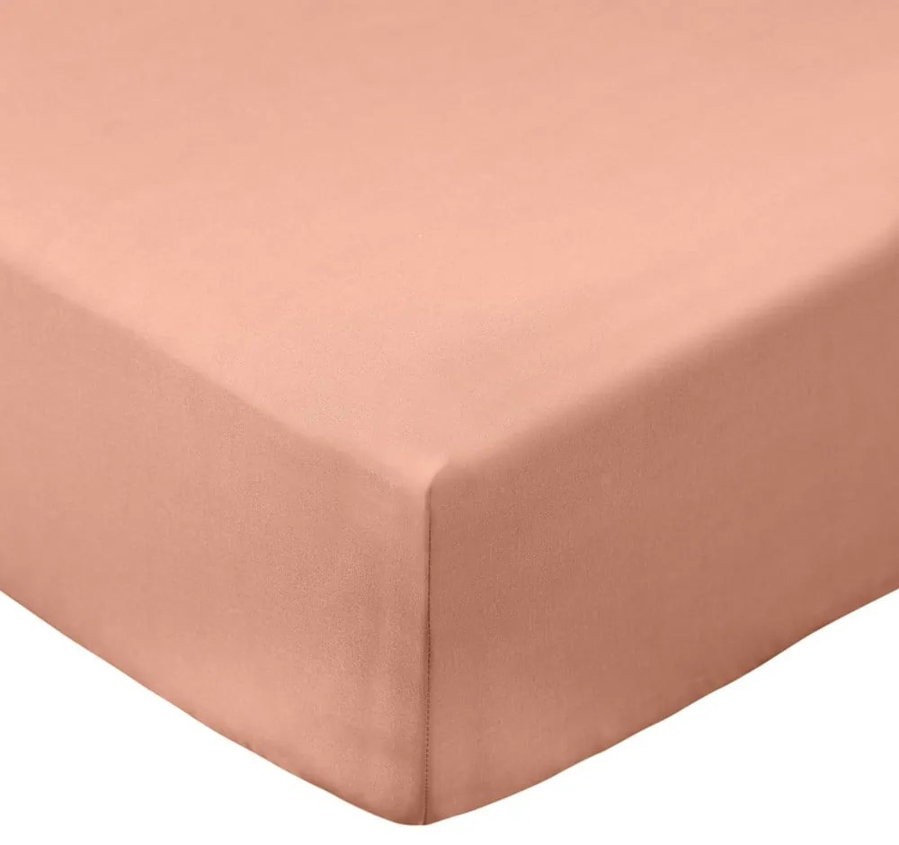 Cearceaf teracotă din bumbac percal cu elastic 90x190 cm Cotton Percale – Bianca