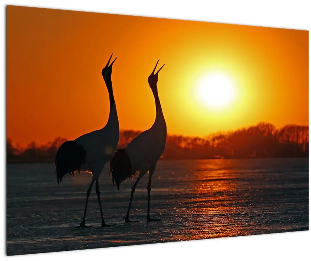 Tablou cu păsări în apus de soare (90x60 cm)