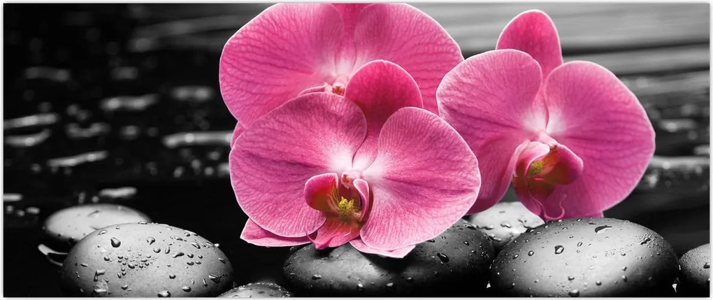 Tablou - Orhidee roz (120x50 cm)