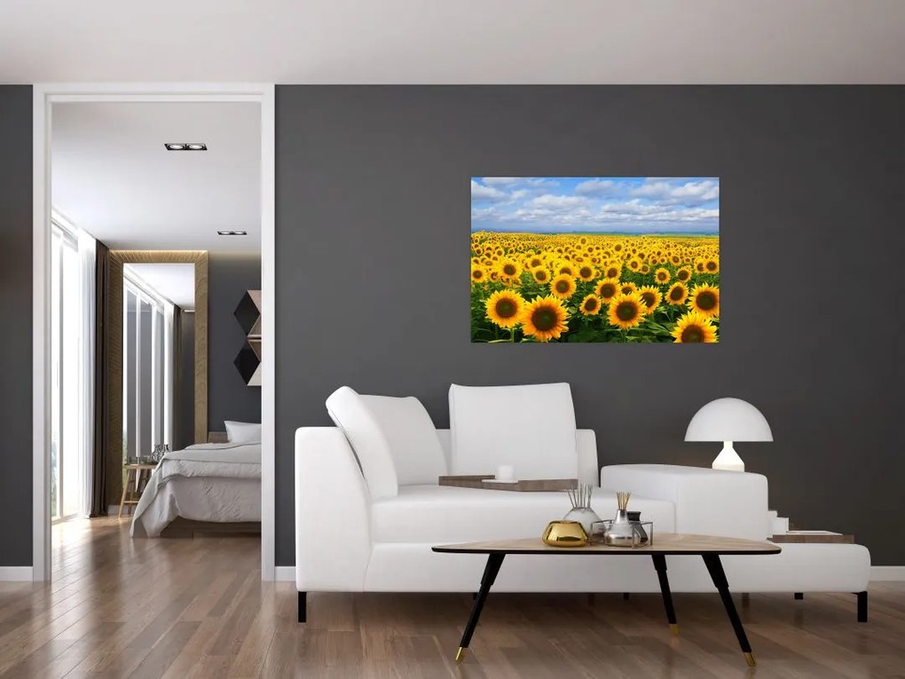 Tablou cu lan de floarea soarelui (90x60 cm)