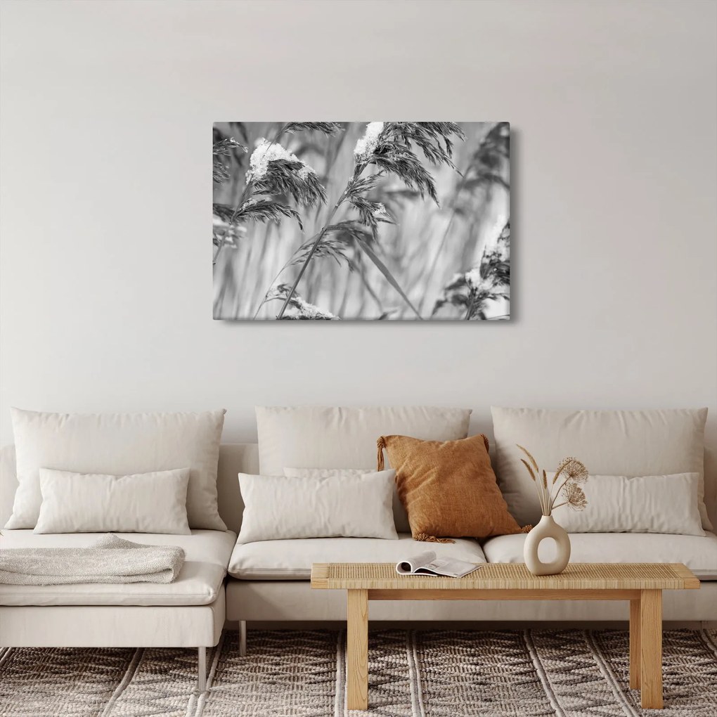 Tablou - Tei,alb-negru (90x60 cm)