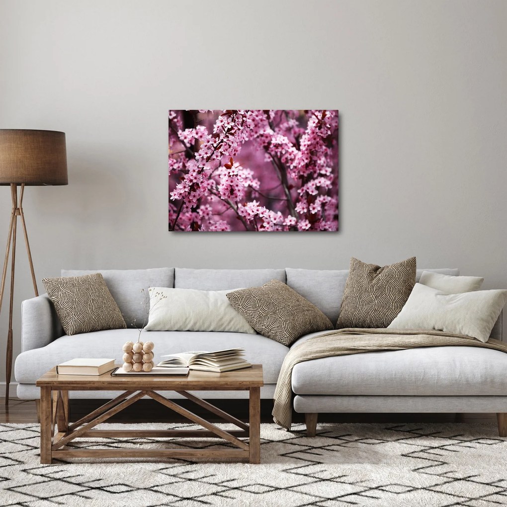Tablou - Sakura roz (70x50 cm)
