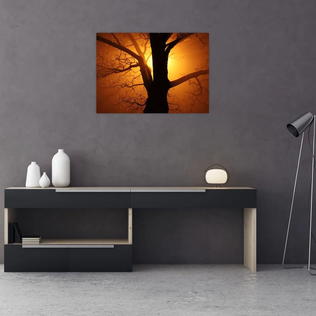 Tablou cu copac în apus de soare (70x50 cm)