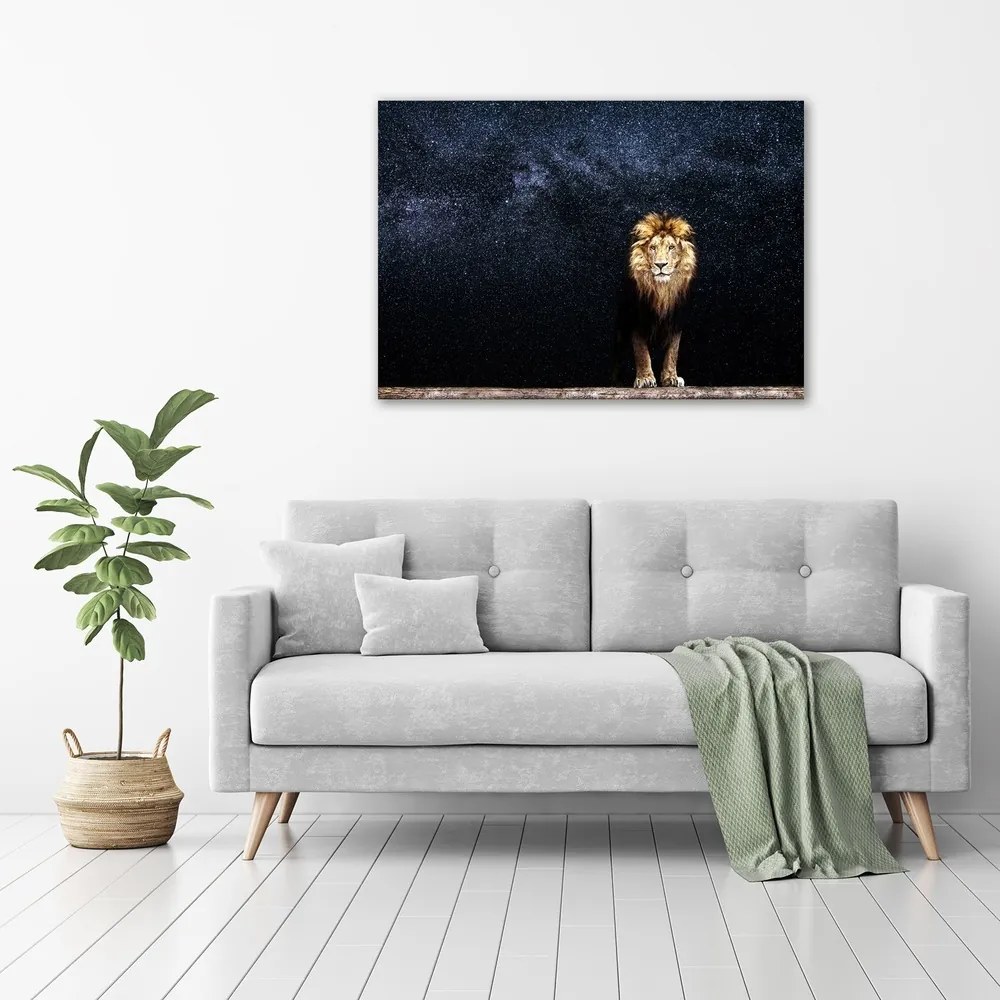 Tablou pe pânză canvas Leul pe fondul de stele
