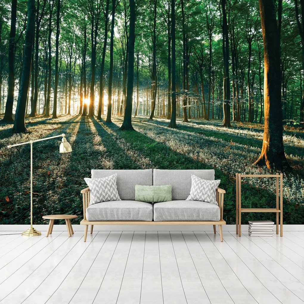 Fototapet - Pădure (152,5x104 cm)